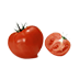 番茄花園WindowsXP Sp3專業版 V2021.07