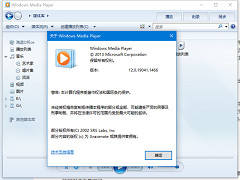 Windows Media Player无法播放该文件格式怎么办？