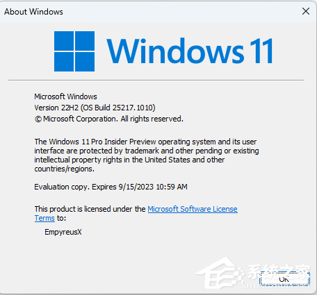 微软宣布Windows 11 Insider Preview Build 25217.1010 (KB5019765)推送了！