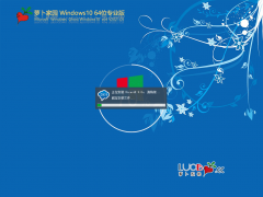 蘿卜家園Windows 10 21H1原版64位下載 V2021.05