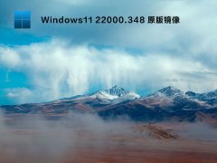 Windows11 22000.348 專業版鏡像 V2021.11