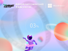 雨林木风 Ghost Win11 64位 免费专业版 V2022.06