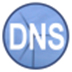 Simple DNS Plus(DNS) V6.0.122 Ӣİ