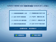 GHOST WIN8 X64 װרҵ V2019.0764λ