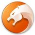 猎豹浏览器 V8.0.0.21681 官方免费版