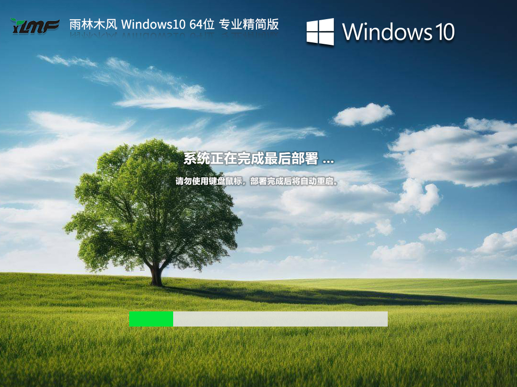 ʶȾľ Windows10 64λ רҵ