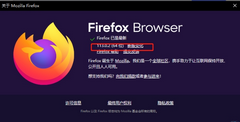 火狐浏览器版本号怎么看-查看火狐浏览器版本信息的方法