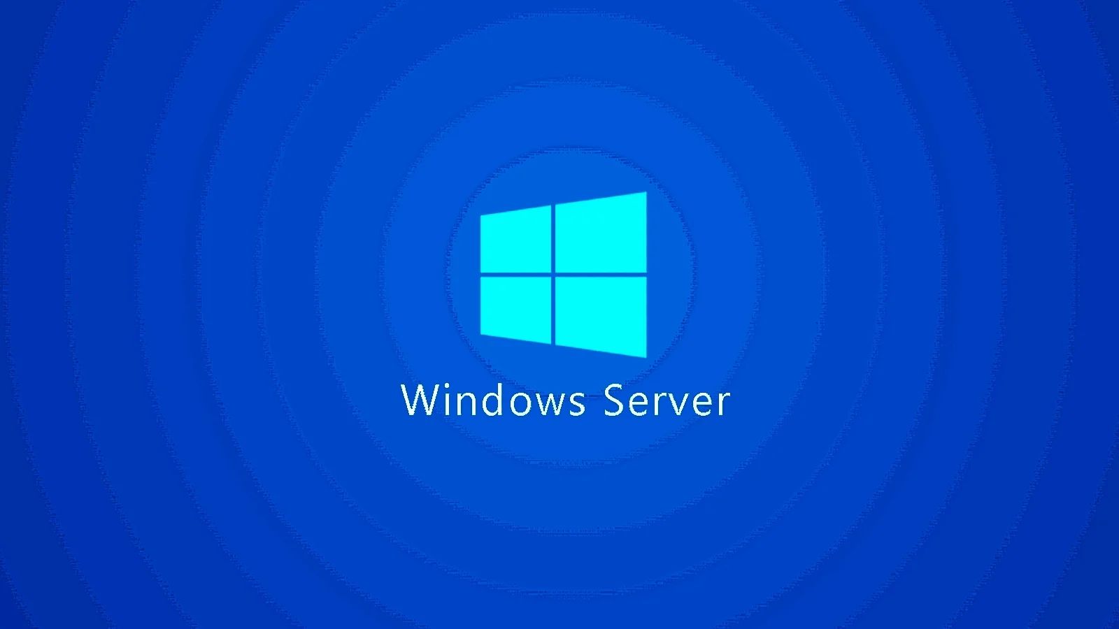 2024 ׸ Windows Server Ԥ
