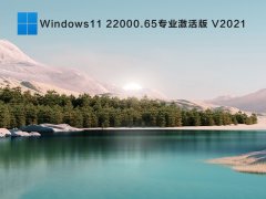 Windows11 22000.65רҵ V2021