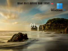 Windows11 Build 22000.348 ʽ