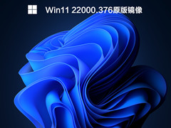 Win11 22000.376ԭ澵 V2021.12
