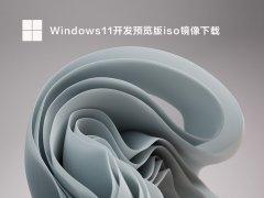 Windows11开发预览版iso镜像下载 V22598.1