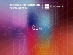 风林火山 Ghost Win11 64位 稳定专业版 V2022.05