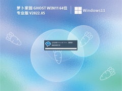 萝卜家园 Ghost Win11 64位 精简专业版 V2022.05