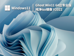 Ghost Win11 64λרҵ洿iso V2022