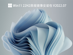 Win11 22H2ԭ澵װ V2022.07