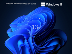 Windows11 64λ ٷרҵ V2023