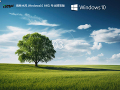 雨林木风 Windows10 64位 专业精简版