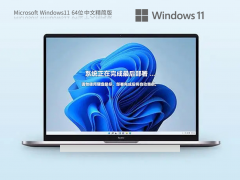 Windows11 22H2 64λ ľ