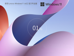 ������ͨ�á����� Lenovo Windows11 23H2 64λ רҵ��